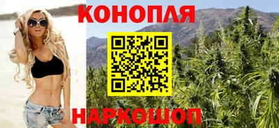 Альфа ПВП Тверь