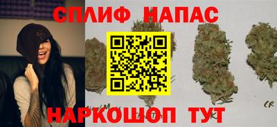 наркотики Тара